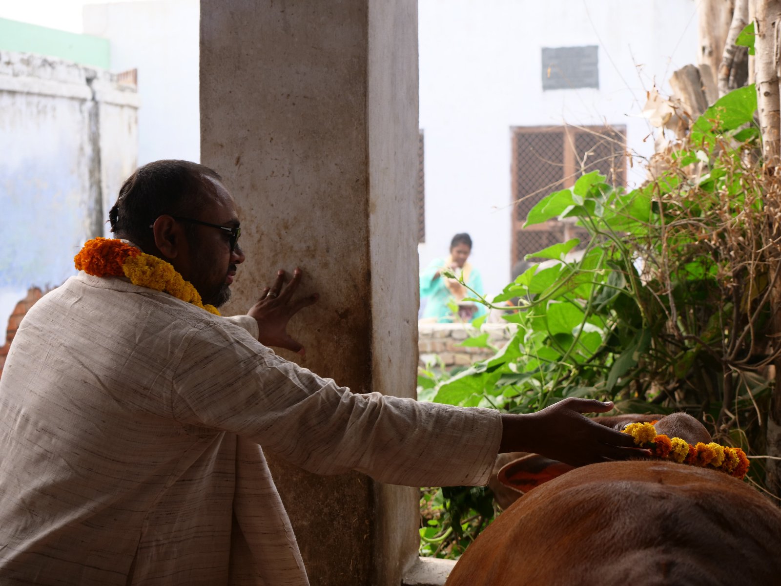  101 Gopashtami Radha kunda Govardhan 19.11.04